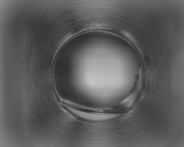 X0000054461089200508011455