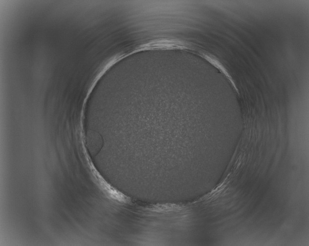 X0000054461091200508011455