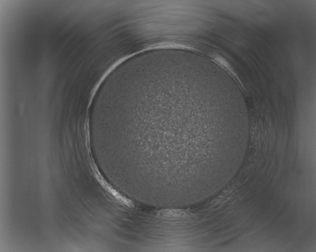 X0000054461092200508011455