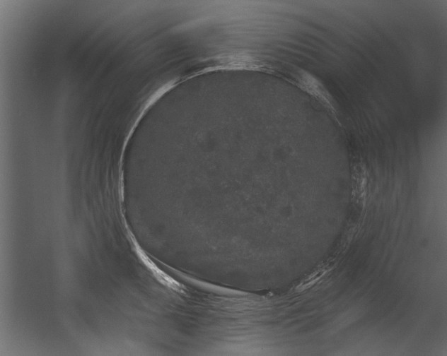 X0000054461095200508011455