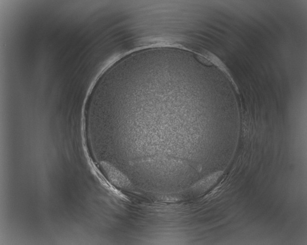 X0000054461096200508011455