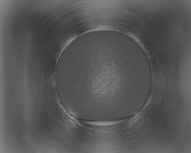 X0000054461097200508011455