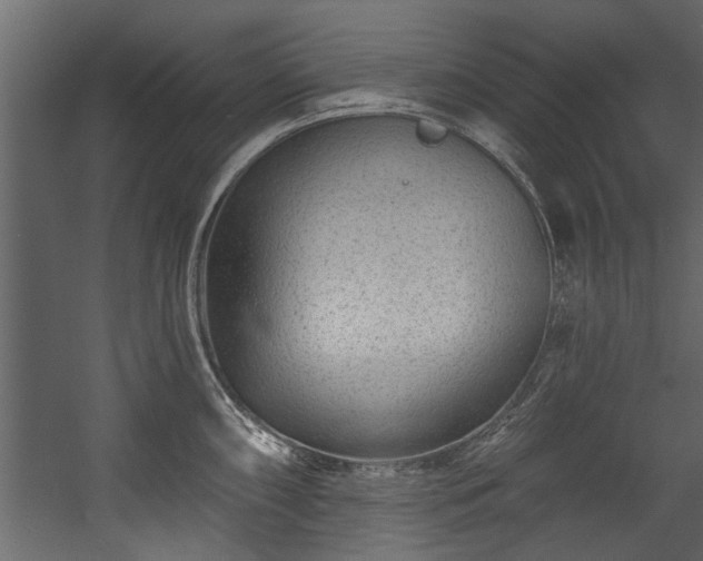 X0000054461098200508011455