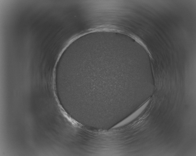 X0000054461099200508011455