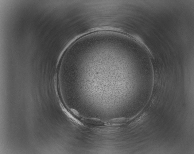 X0000054461100200508011455