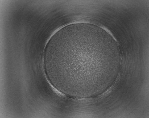 X0000054461101200508011455