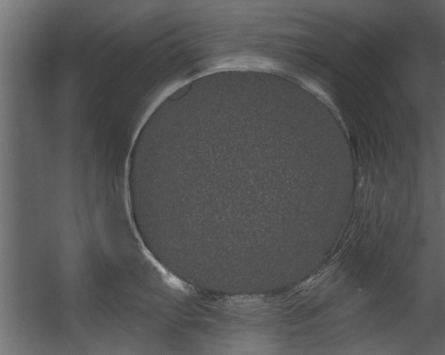 X0000054461103200508011455