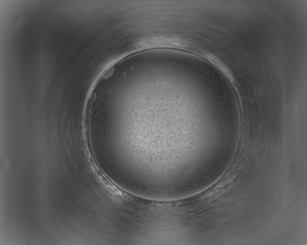 X0000054461104200508011455