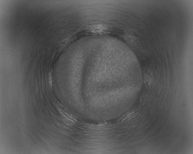 X0000054461106200508011454