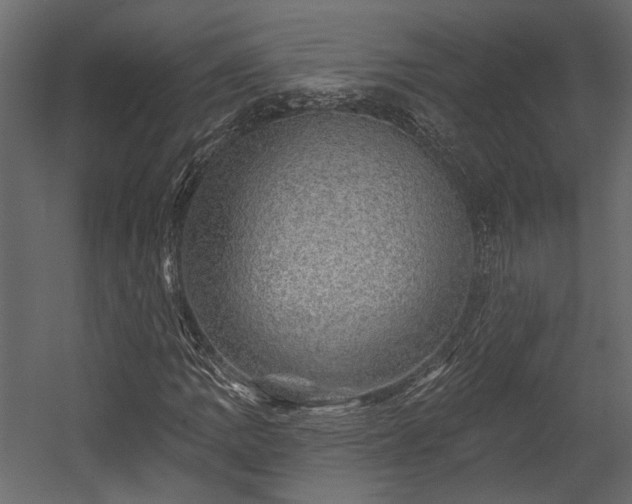 X0000054461109200508011454