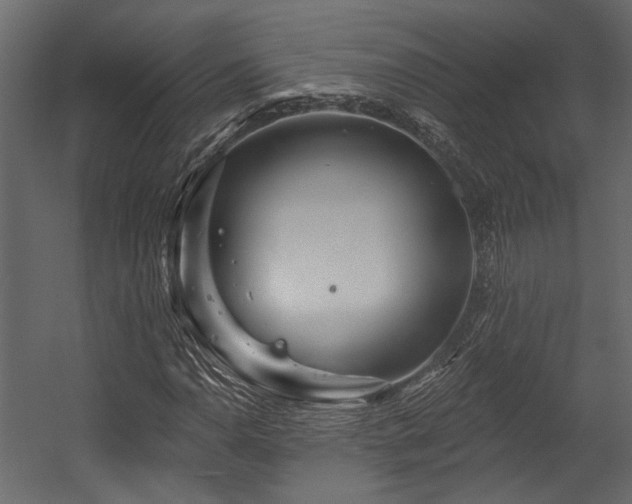 X0000054461110200508011454