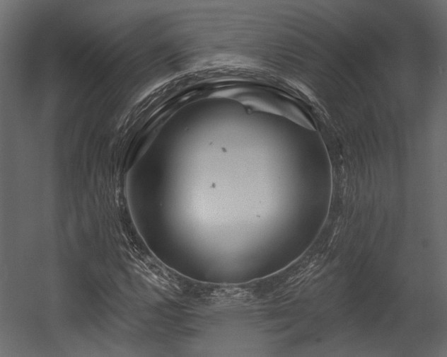 X0000054461112200508011454