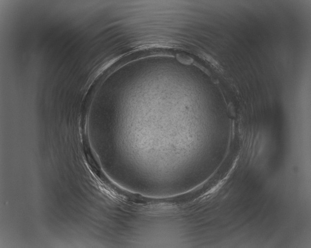 X0000054461113200508011454