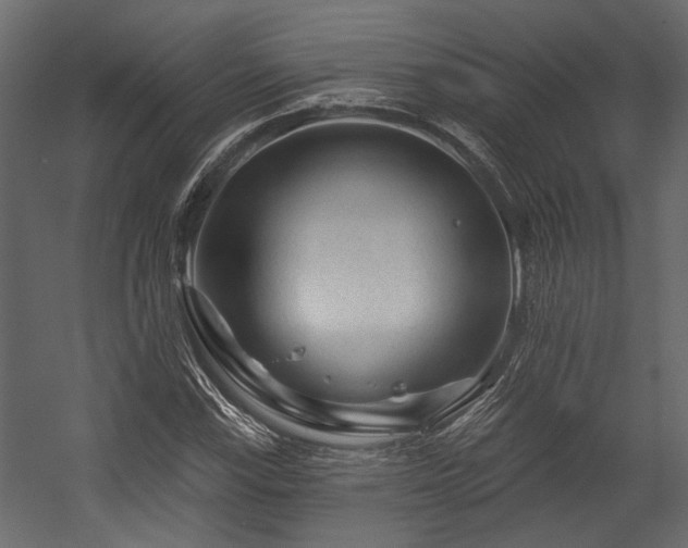 X0000054461115200508011454