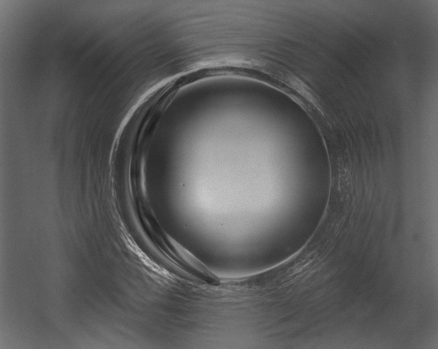 X0000054461116200508011454