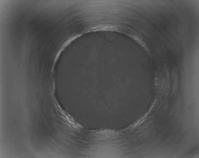 X0000054461117200508011454