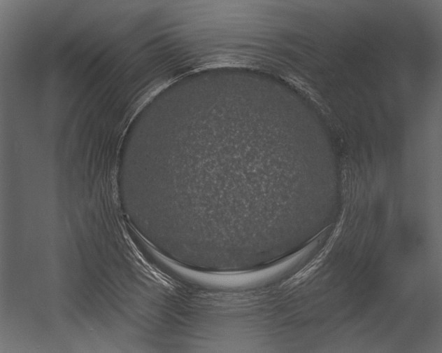 X0000054461121200508011454