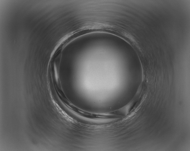 X0000054461122200508011454