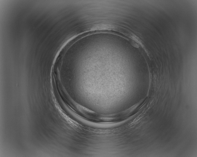 X0000054461124200508011454