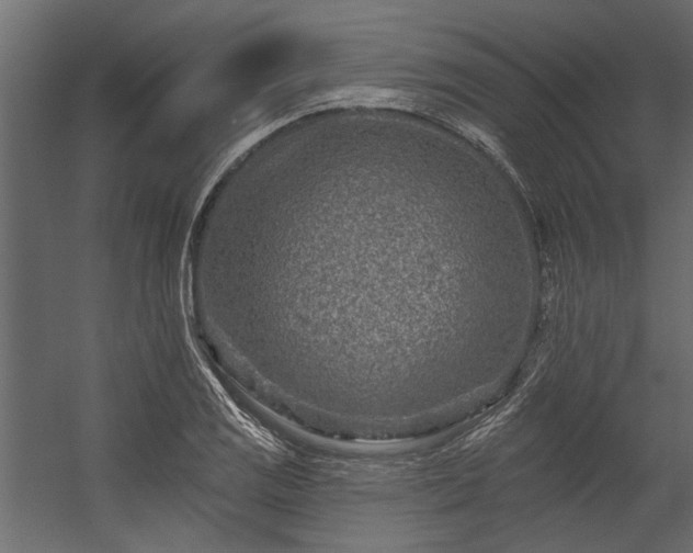 X0000054461125200508011454