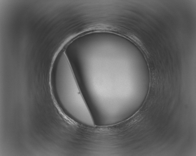 X0000054461128200508011454