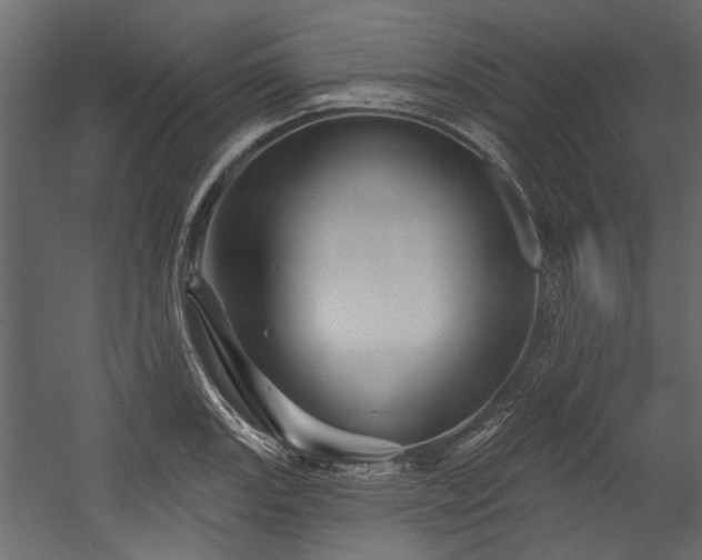 X0000054461131200508011454