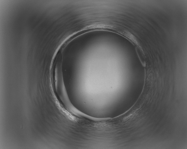 X0000054461132200508011454