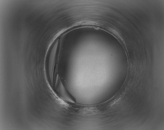 X0000054461133200508011454