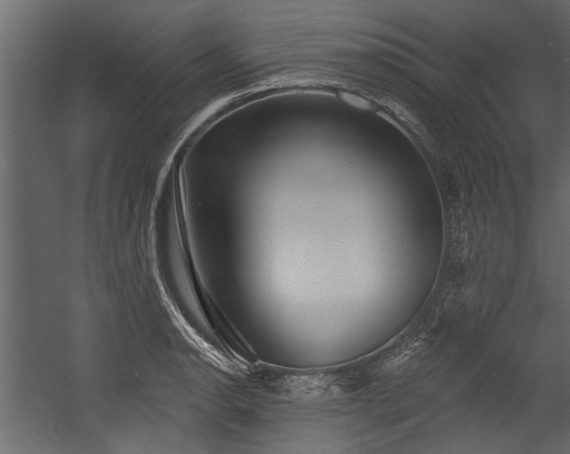 X0000054461134200508011454