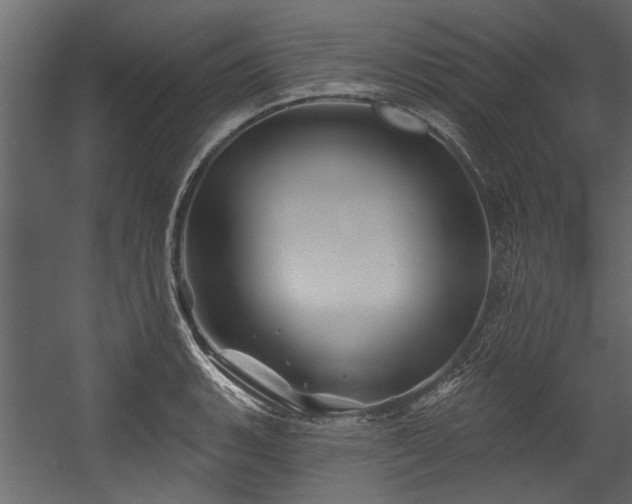 X0000054461135200508011454