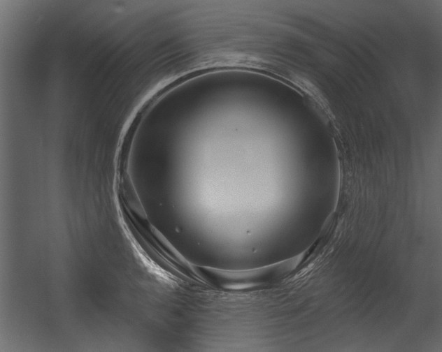 X0000054461136200508011454