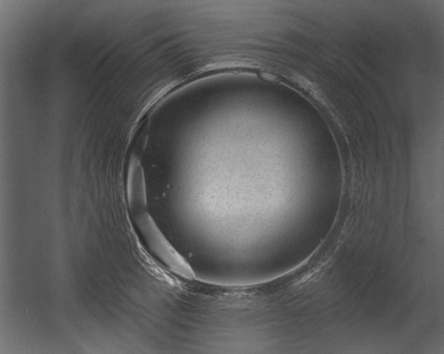 X0000054461137200508011454