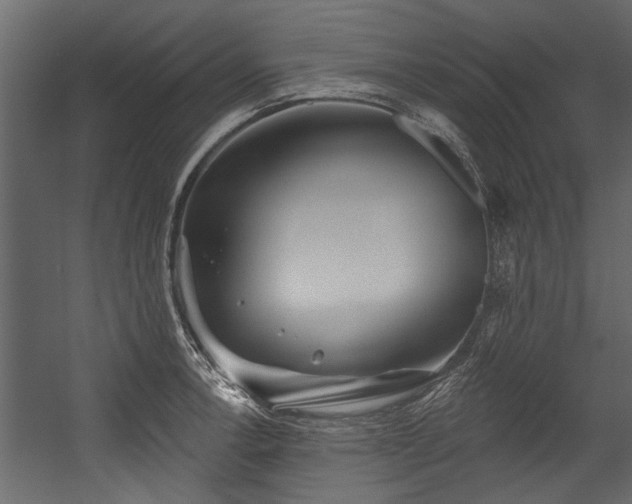 X0000054461138200508011454