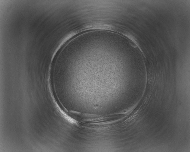 X0000054461139200508011454