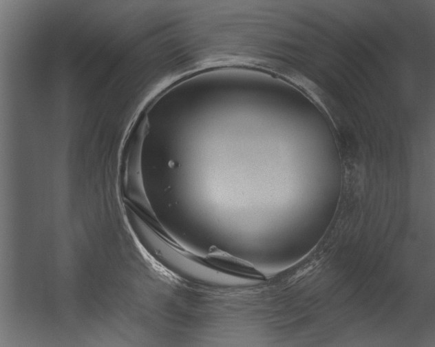 X0000054461143200508011455