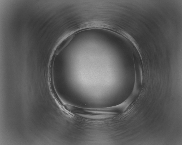 X0000054461144200508011455