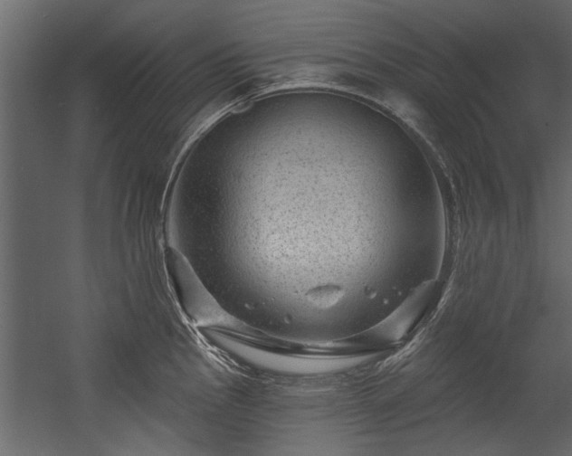 X0000054461145200508011455