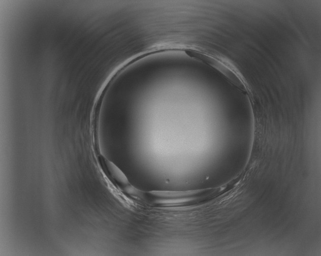 X0000054461148200508011455