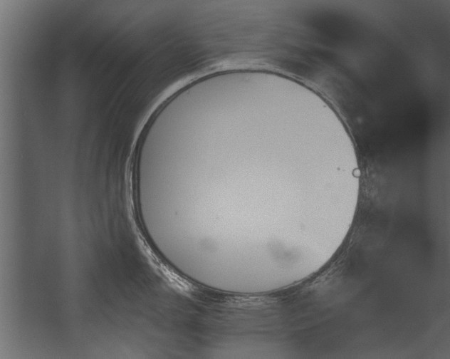 X0000054461150200508011455