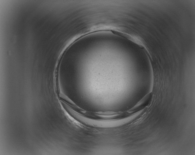 X0000054461151200508011455