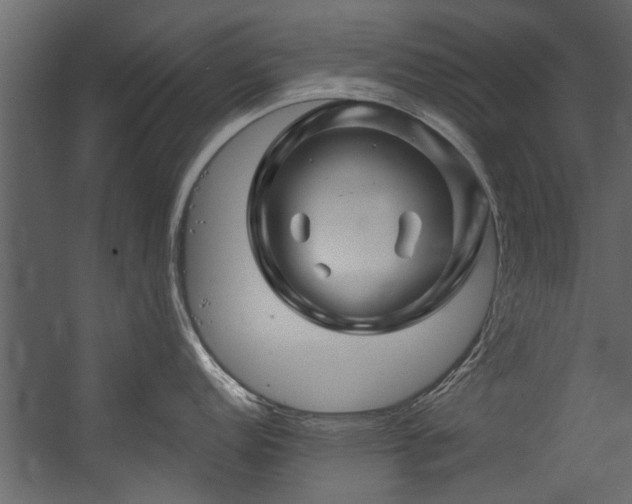 X0000054461152200508011455