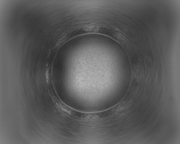 X0000054461154200508011454