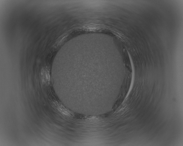 X0000054461155200508011454