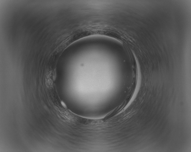 X0000054461156200508011454