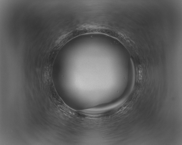 X0000054461157200508011454