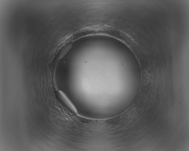 X0000054461158200508011454