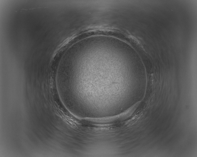 X0000054461159200508011454