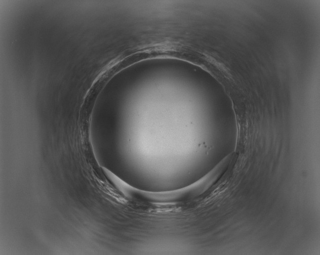 X0000054461160200508011454