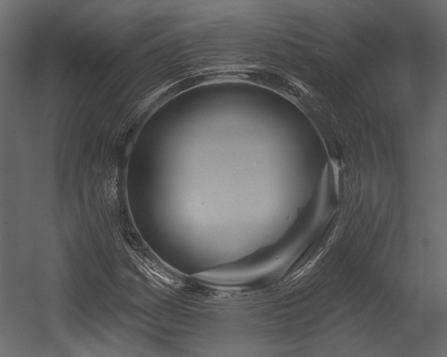 X0000054461161200508011454