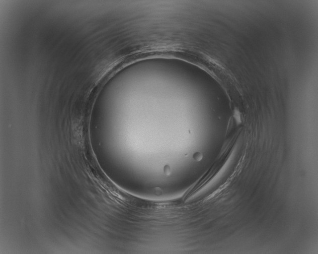 X0000054461162200508011454